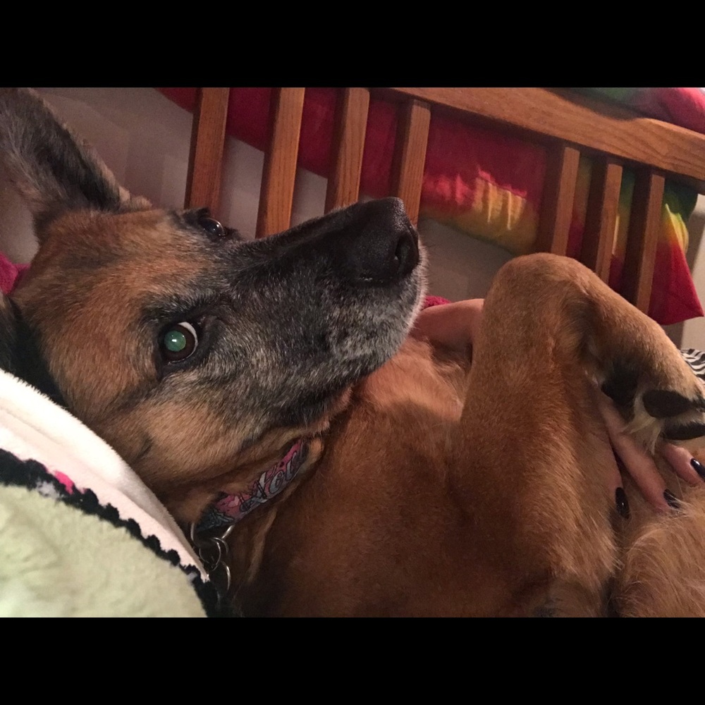 Meet your Posher, Peggy